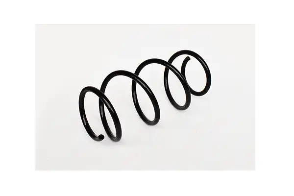 Livrare expres Arc suspensie fata ASAM 73726