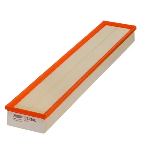 Plată securizată Filtru aer HENGST E1234L