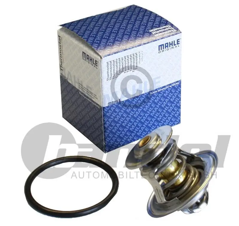 Termostat Volkswagen Golf III, IV, V, Passat, Polo Comandă acum